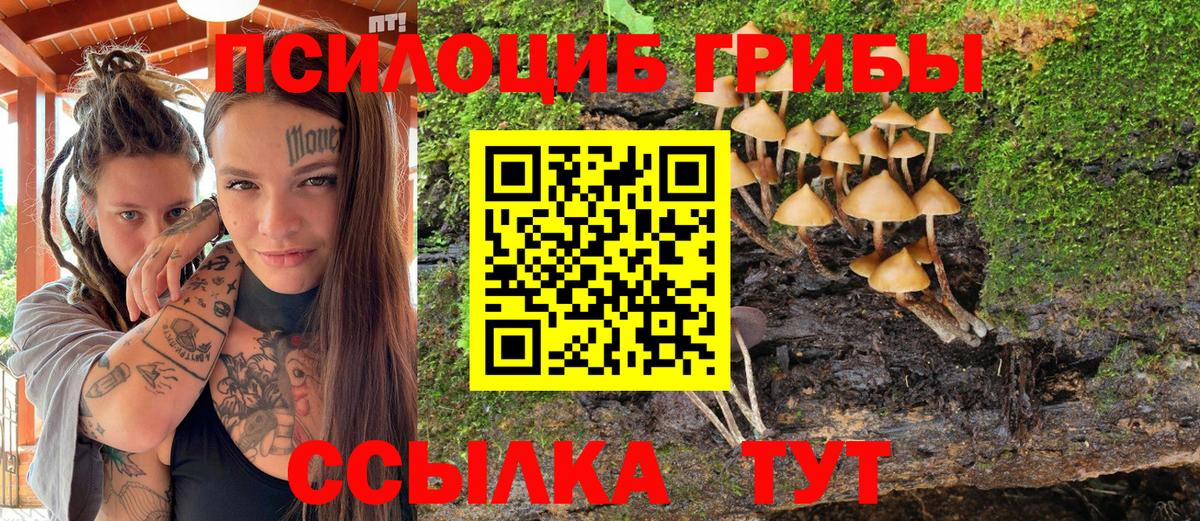 Галлюциногенные грибы прущие грибы Волгоград