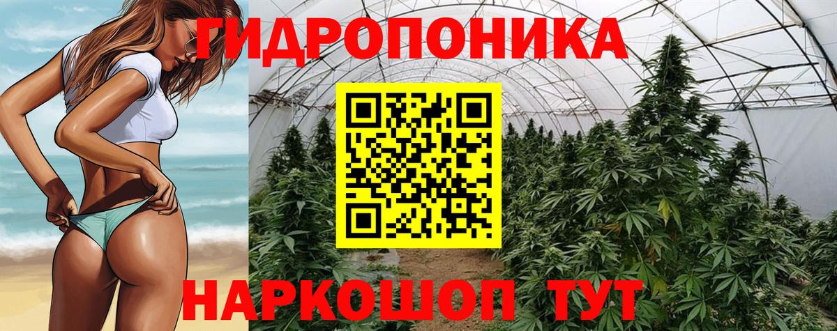 Бошки марихуана тримм Волгоград
